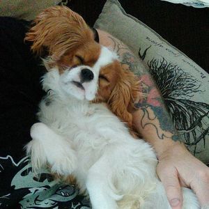 Meet your Posher, Jeff